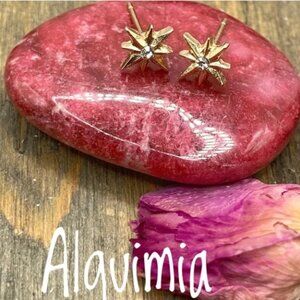 Dainty Gold Northern Star Stud Boho Earrings